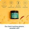 Ancient Nutrition Ancient Nutrition SuperGreens Powder with Probiotics, Organic Mango