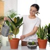 Relaxdays Clay Tips Watering, Set of 4, Water Dispenser for