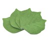 5 Packs Green Leaf-Shaped Sticky Notes Stickers Removable Self-Stick Notes