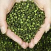 Green Peppercorns Dried Pepper Spicy Hot Premium Sichuan Spices Herbs