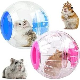 INHEMING2 Pcs Hamster Exercise Ball Transparent Hamster Running Ball Small Animals Jogging Ball Toy Cage Accessories For Dwarf Hamster Small Pet