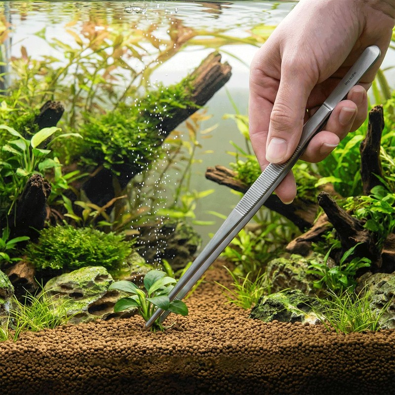 May – Terrarium Tweezers 20 cm Stainless Steel Feeding Tweezers