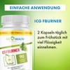 ICG FBURNER Health Nutrition | mit natürlichen Inhaltsstoffen | F