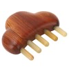 Sandalwood Meridian Comb Nose Massager Rosewood Scalp Massage Comb Set