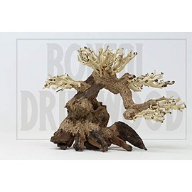 Driftwood Aquarium Tree AS Random Pick (6in H x 8in L) Natural, Handcrafted Fish Tank Decoration | Easy to Install