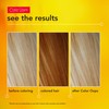 Color Oops Extra Strength Hair Color Remover, 1 Application, Hair