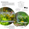 LxcshLjx Aquarium Fish Tank Breeder Box, Fish Isolation Breeding Box,