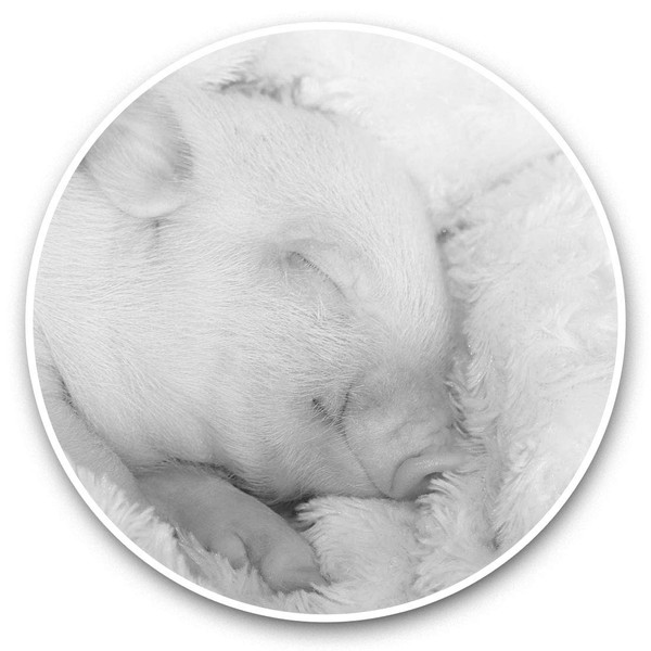 2 x 25cm Vinyl Stickers - Adorable Sleepy Piglet Piggy