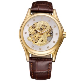 FORSINING Men Hollow Mechanical Waterproof Watch Wristwatch (White Dial Gold Case Brown Strap)
