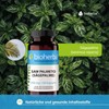 BIOHERBA Saw Palmetto Capsules High Dose with Niacin - 200