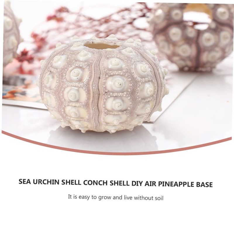 HOMSFOU 4pcs Tillandsia Planter Small Plant Pots Plant Stand Outdoor