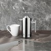 Small Stainless Steel French Press, 12oz Dual-Filter Coffee Plunger Pot