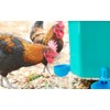 Large Blue Automatic Chicken Waterer Cups DIY Poultry Chicken Waterer