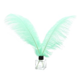 PATIKIL 30 Pcs Natural Ostrich Feathers Bulk 14-16 Inch/ 35-40 cm Large Ostrich Feathers for Crafts Home Decoration Wedding Party Vase Decor(Mint Green)