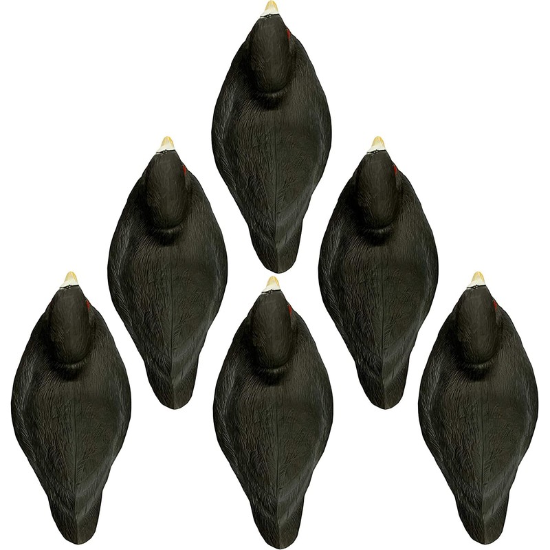 Higdon Outdoors Standard Coot Duck Decoys | Lightweight & Realistic