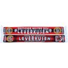 Generisch Leverkusen - Master Scarf 2024 - Scarf (Knitted Scarf),