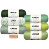 Caron Simply Soft Yarn Assortment (Greenery)