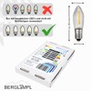 Berglicht Pack of 10 LED Filament 34 V / 0.2