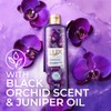 LUX Shower Gel Black Orchid Fragrance & Juniper Oil Bodywash