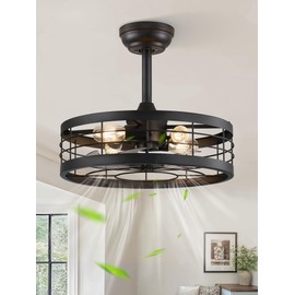 LEDIARY 18 inch Black Caged Ceiling Fan with Light, Bladeless Industrial Ceiling Fan with Remote, Farmhouse Fan Lights Ceiling Fixtures for Kitchen, Bedroom, Outdoor（6 Speed, Timing）-Black