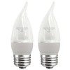 TCP 40 Watt Equivalent 2-pack, LED Clear Flame Tip Deco