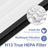 Pulluty HAP603 Replacement Filter for ECOSELF HAP603 Air Purifier,3-in-1 H13
