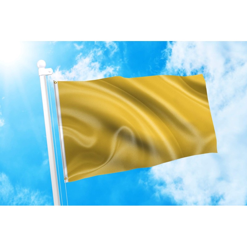 DMSE Solid Blank Flag 3X5 Ft Foot Flag UV Resistant