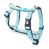 Max & Molly H-Harness – Retro Blue, M