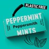Xylitol Mint Tablet [Pepper Smith] English Peppermint 1 Piece (0.5