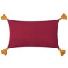 Wylder Tropics Kalahari Embroidered Velvet Cushion Cover - Multicolour -
