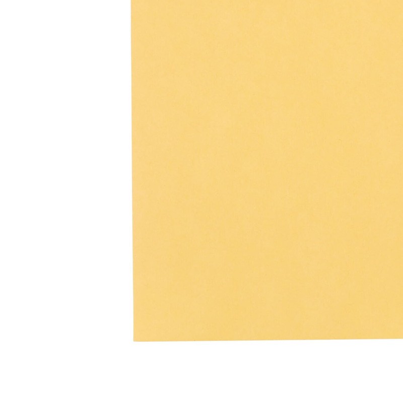 Staples Brown Kraft Clasp Envelopes, 9" x 12", 12/Pack