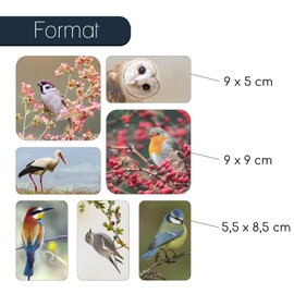 7 motif magnets with bird motifs, natural magnets, square, decoration for the kitchen, shared rooms and teenagers, as a gift idea, dv_1063