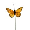 YCHTEWY - Monarch Butterfly Decor, Feather Butterfly Decorations Set of
