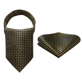 HISDERN Men's Tie Scarf Floral Paisley Ascot Tie Wedding Business Neckerchief and Pocket Square Set, black/gold