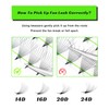 500 Premade Fans Eyelash Extensions 24D 0.05 Thickness 13mm Single