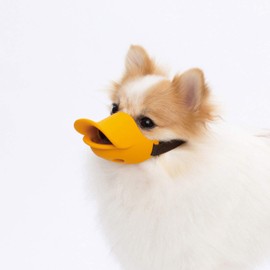 Oppo Quack Closed Orange S Size
