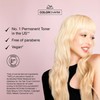 COLORCHARM Permanent Liquid Toners| Neutralize Brass| Free of Parabens| Vegan|
