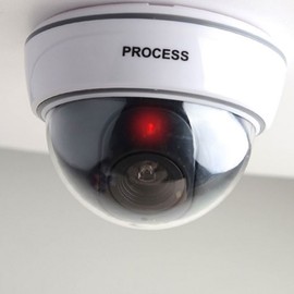 Dome Dummy Security Camera for Crime Prevention & Deterrence Deters Intruders