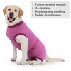 Cyponpy Dog Recovery Suit Post Op with Top Zip Surgical