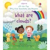 Lift-the-Flap Very First Q&A: What are Clouds?