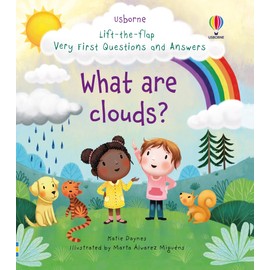Lift-the-Flap Very First Q&A: What are Clouds?