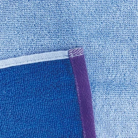 Champion 5065020200 Face Towel, Approx. 13.4 x 31.5 inches (34 x 80 cm), Simple Color Logo, Blue
