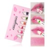 Set De 6 Lápices Labiales Transparentes Zlu Dry Flower Er