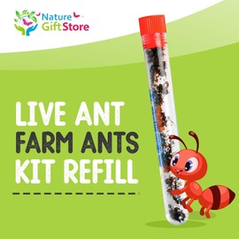 Nature Gift Store 1 Tube of Live Ants Plus Ant Food, Honey Treat, & Book Bundle: Ant Habitat Kit Refill