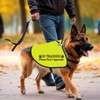 In Training Please Don't Approach/Ask Before Petting Me Dog Jacket