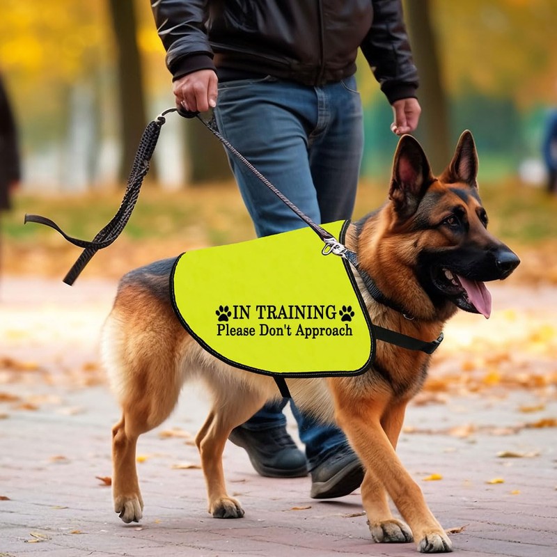 In Training Please Don't Approach/Ask Before Petting Me Dog Jacket