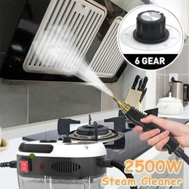 Handheld Steam Cleaner, 2500W High Temperature Pressurized Steam Cleaner for Home Use, Fast Heating, Portable Steamer Cleaning Machine with 3 Brush Heads for Kitchen, Car Detailing