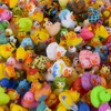 Assortment Rubber Duck Toy Duckies for Kids, Bath Birthday Gifts