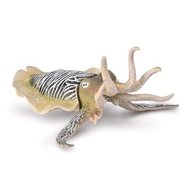 CollectA Common Cuttlefish - Realistic Hand Finished Sea Life Creature, Ocean Toys & Figures, Animal Models, Wildlife Gifts For Toddlers & Kids, Age 3 Years +
