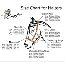 Exion Leather Horse Halter, Designer Braided Soft Padded- Stylish Adjustable Chin & Throat Snap Halter with Brass Golden Buckles for Comfort- Perfect for Training & Shows